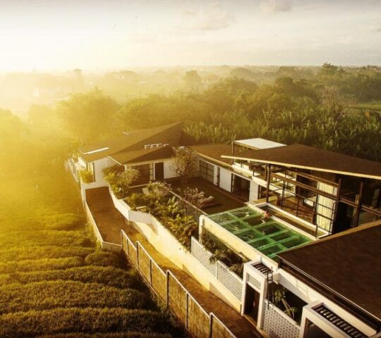 Mandala. The House Mandala. The House