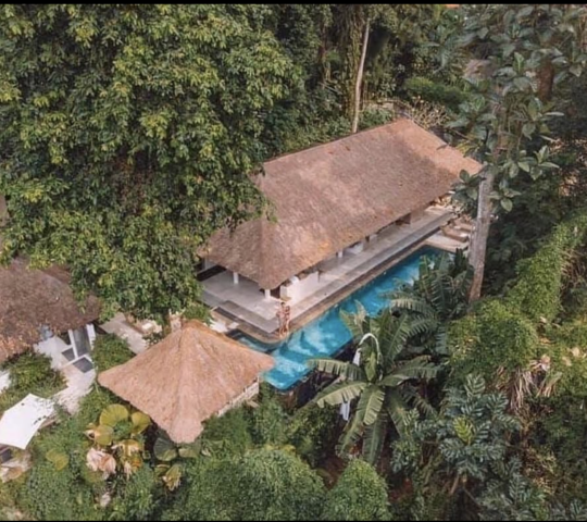 Sungai Jungle Villas Sungai Jungle Villas