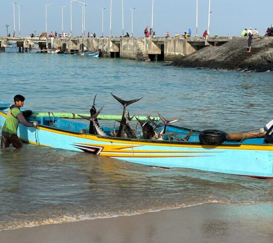 Jimbaran Fish Market
