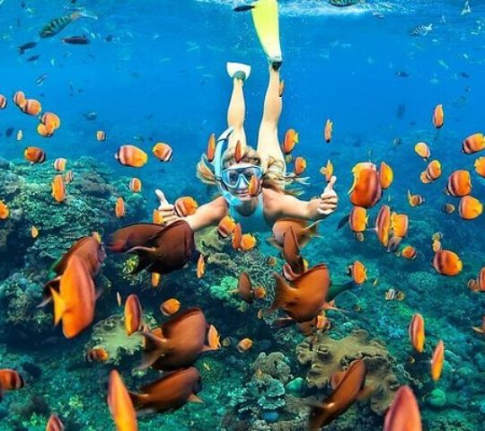 Padang Bai Snorkelling & Eco-Reef