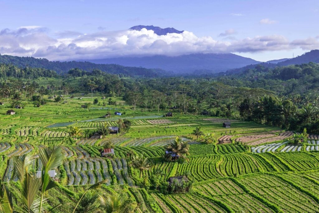 Sidemen Bali: The Amazing Quiet Valley in East Bali You Actually Need
