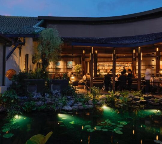 Dahana Bali